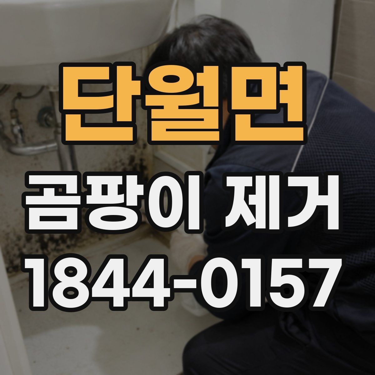 단월면 곰팡이 제거 계절별 발생 패턴과 대응 요령