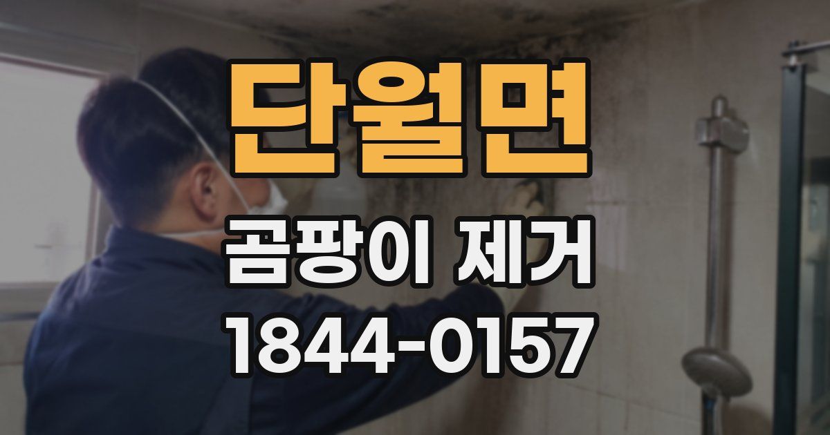 단월면 곰팡이 제거