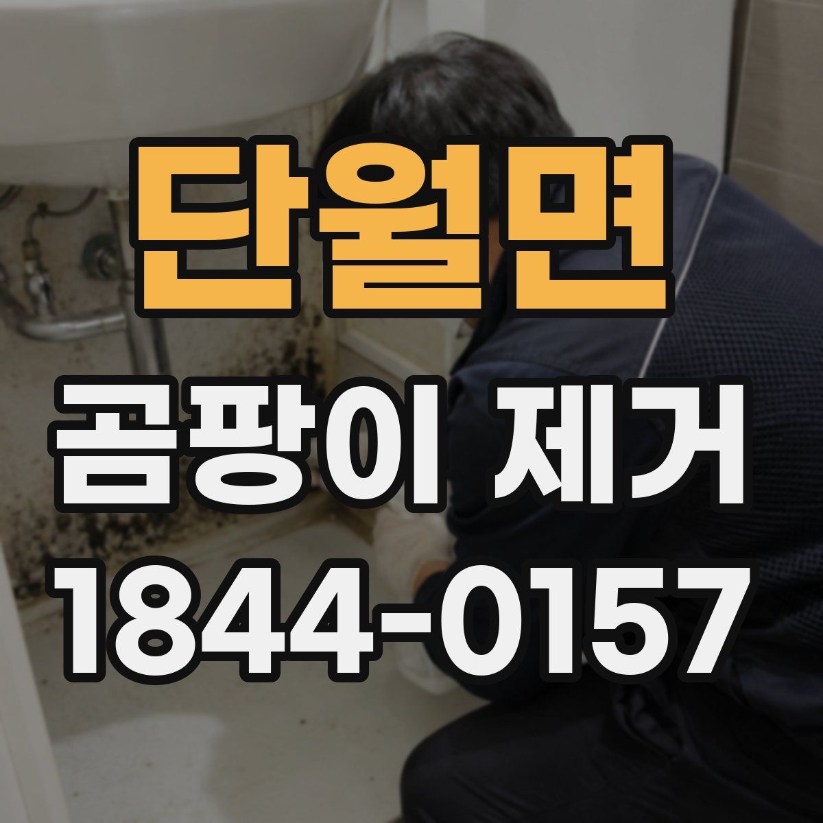 단월면 곰팡이 제거