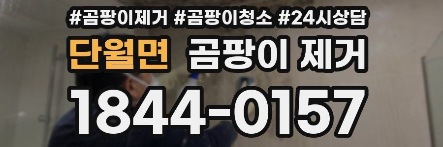단월면 곰팡이 제거