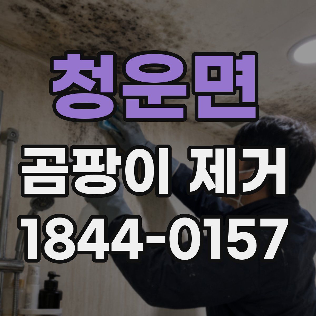 청운면 곰팡이 제거