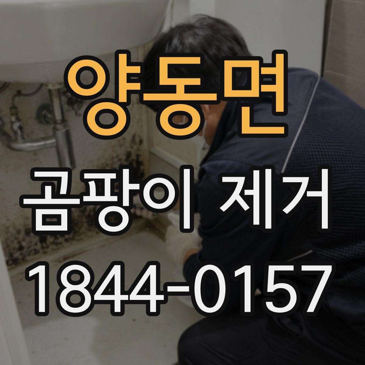 양동면 곰팡이 제거