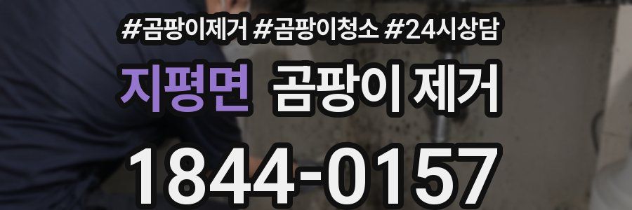 지평면 곰팡이 제거