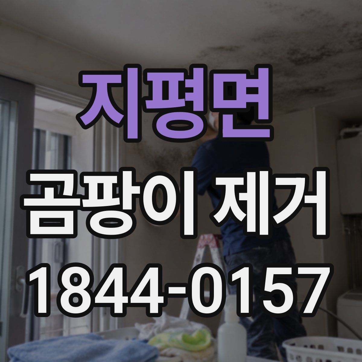 지평면 곰팡이 제거