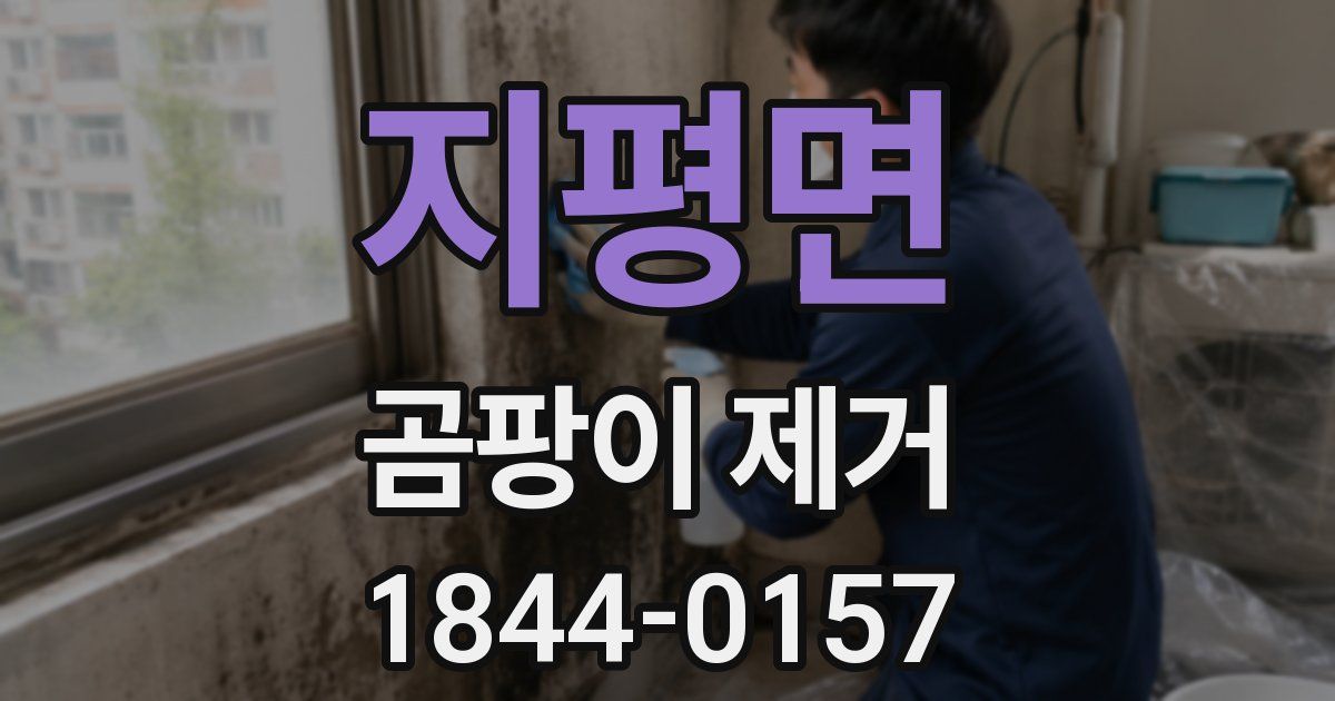 지평면 곰팡이 제거