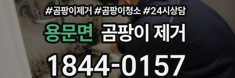 용문면 곰팡이 제거