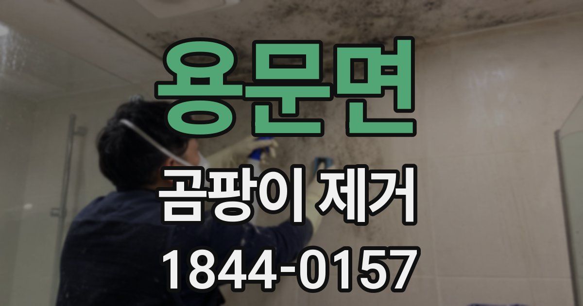 용문면 곰팡이 제거