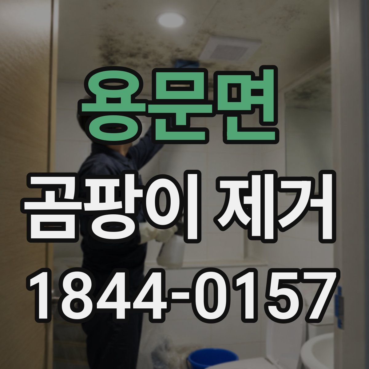 용문면 곰팡이 제거