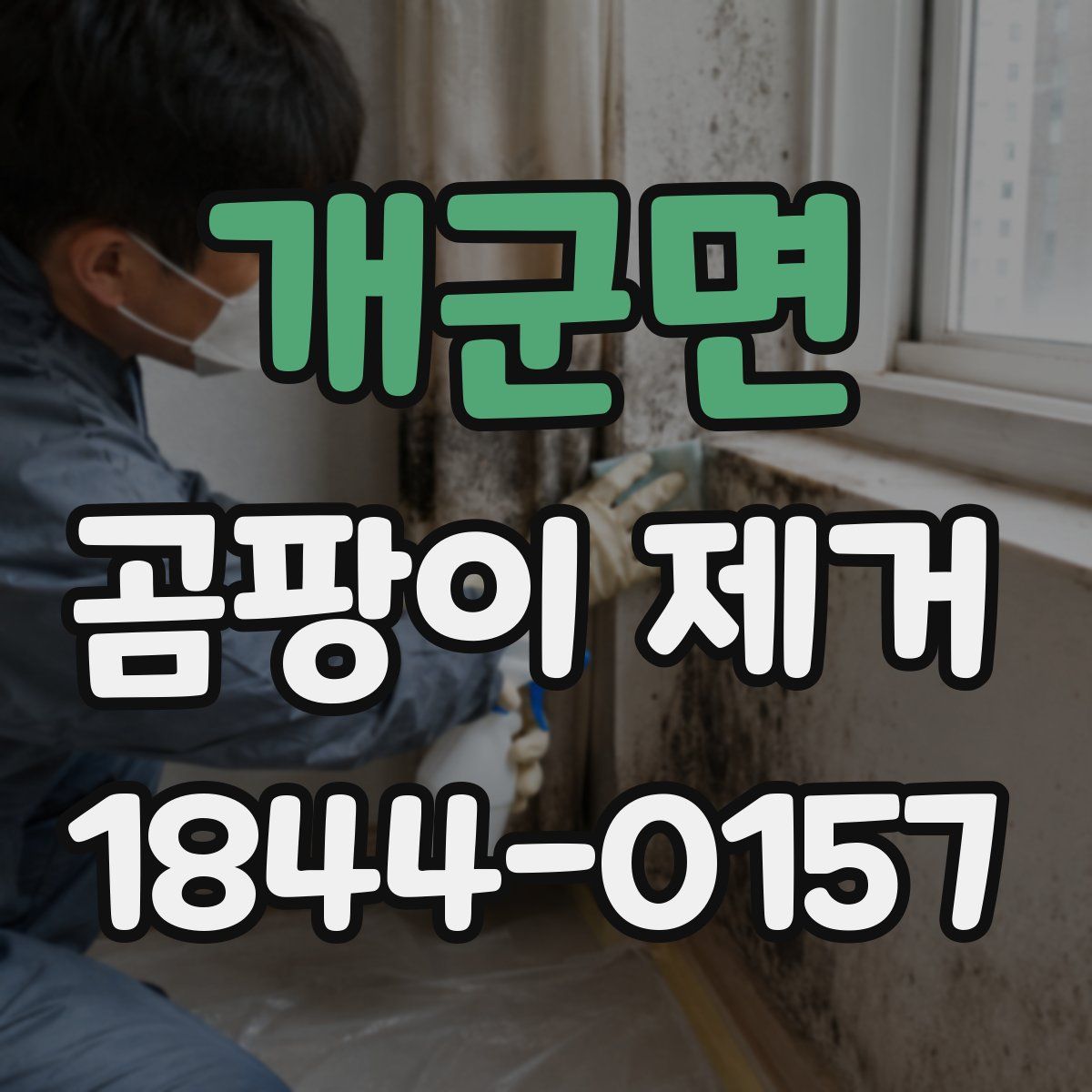 개군면 곰팡이 제거