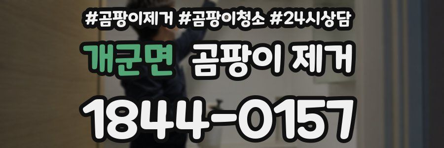 개군면 곰팡이 제거