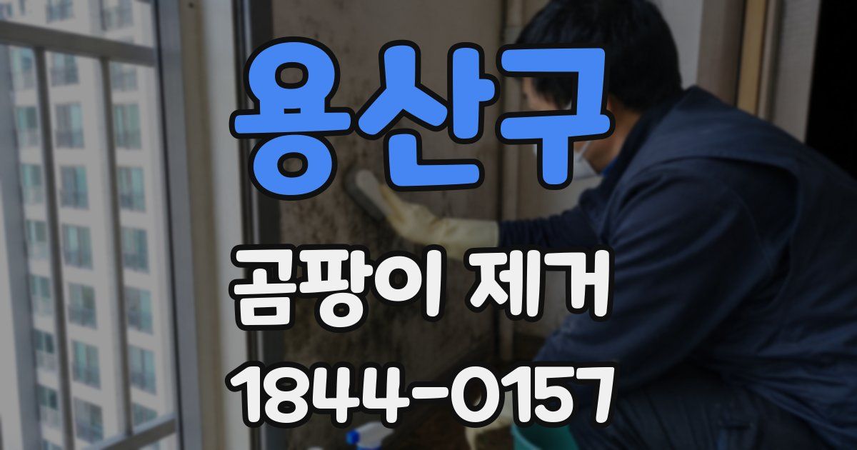 용산구 곰팡이 제거