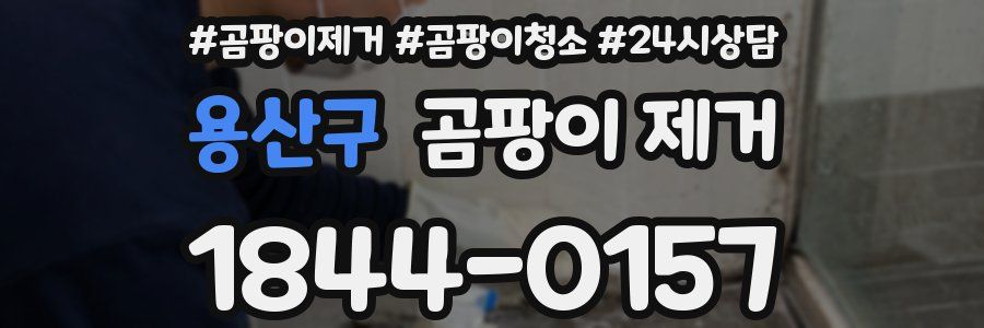 용산구 곰팡이 제거