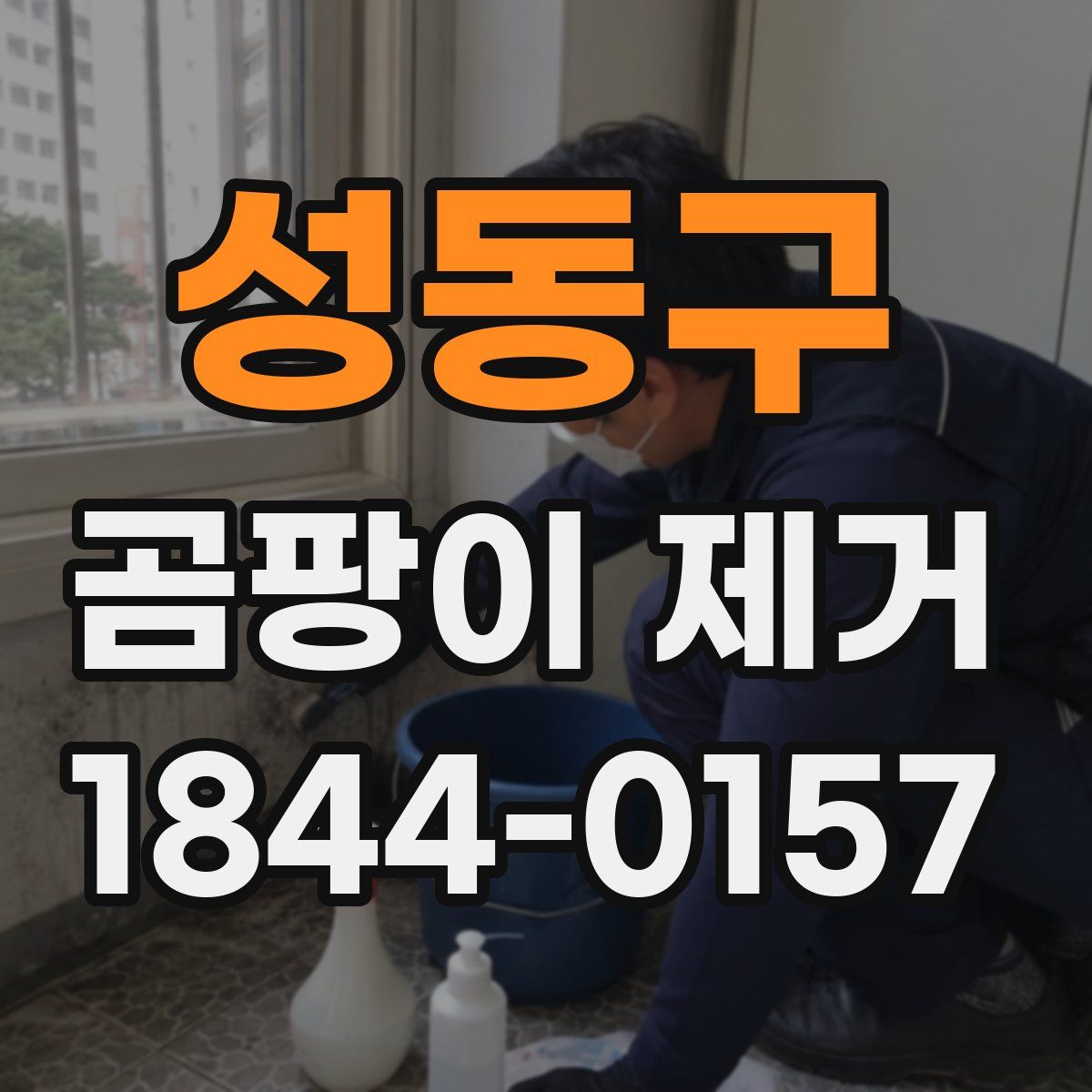 성동구 곰팡이 제거