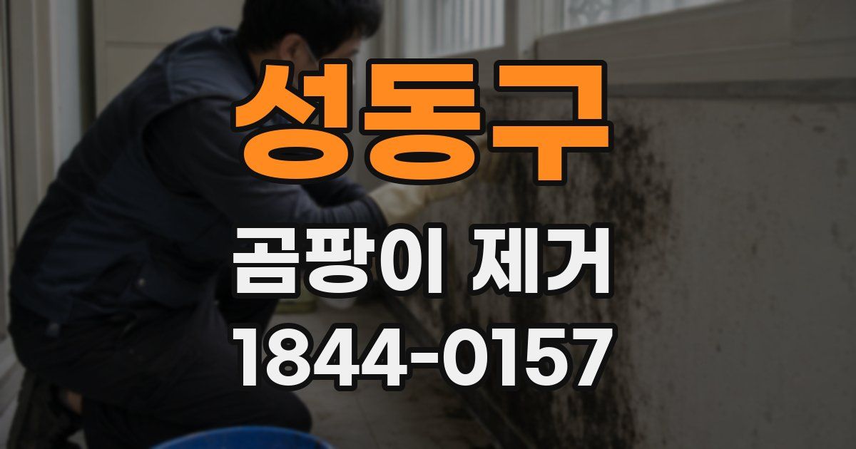 성동구 곰팡이 제거