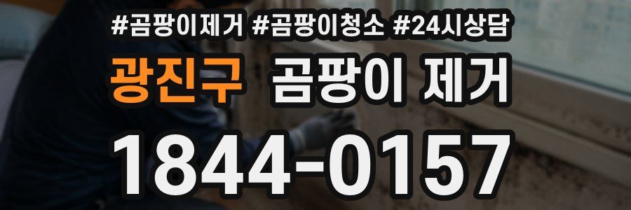 광진구 곰팡이 제거