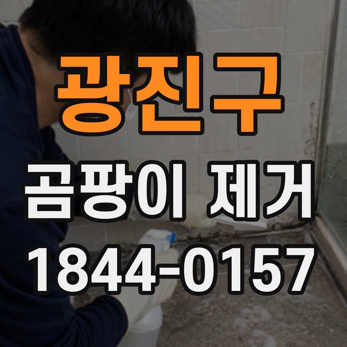 광진구 곰팡이 제거