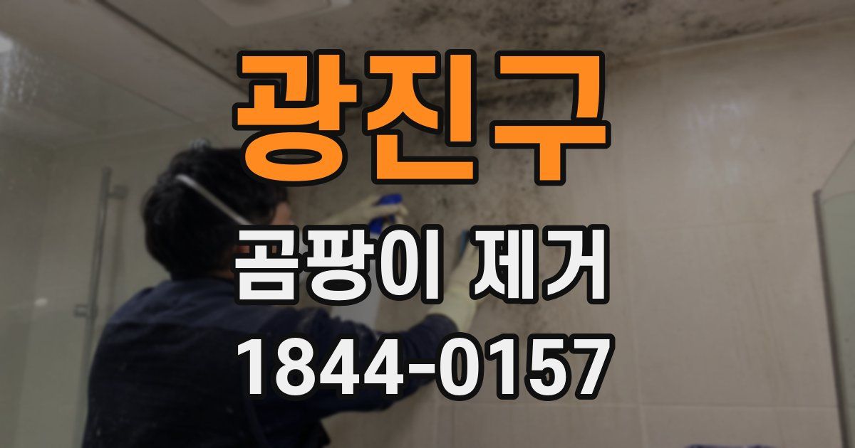 광진구 곰팡이 제거