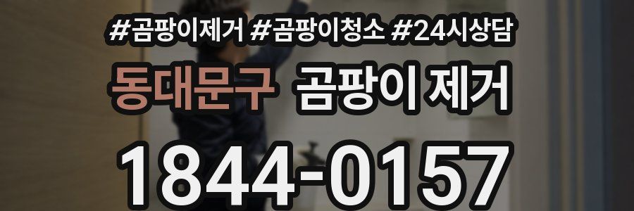 동대문구 곰팡이 제거
