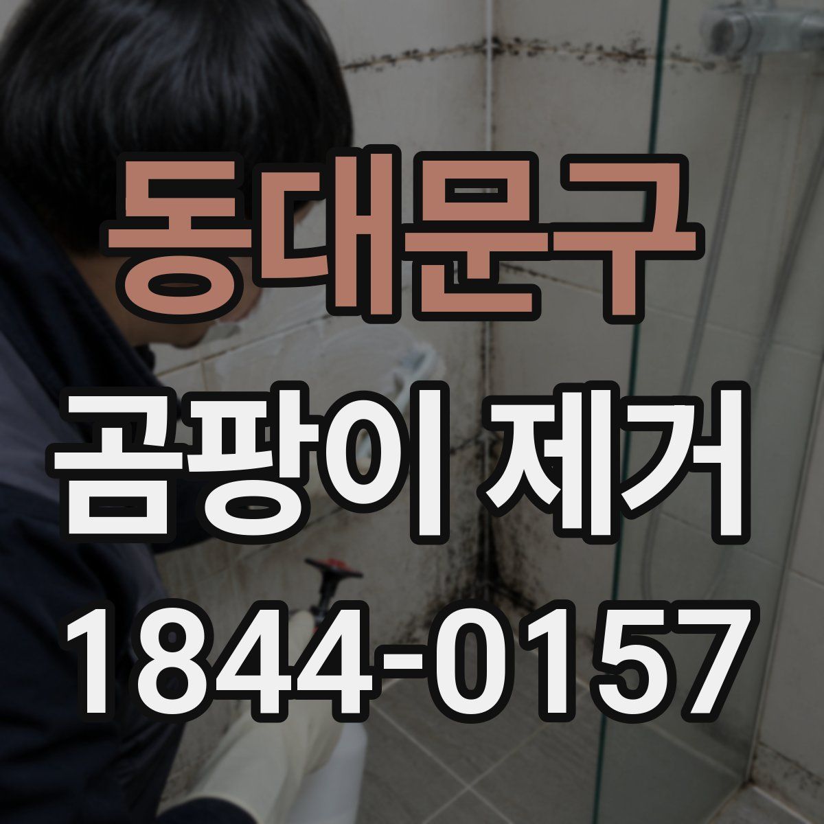 동대문구 곰팡이 제거
