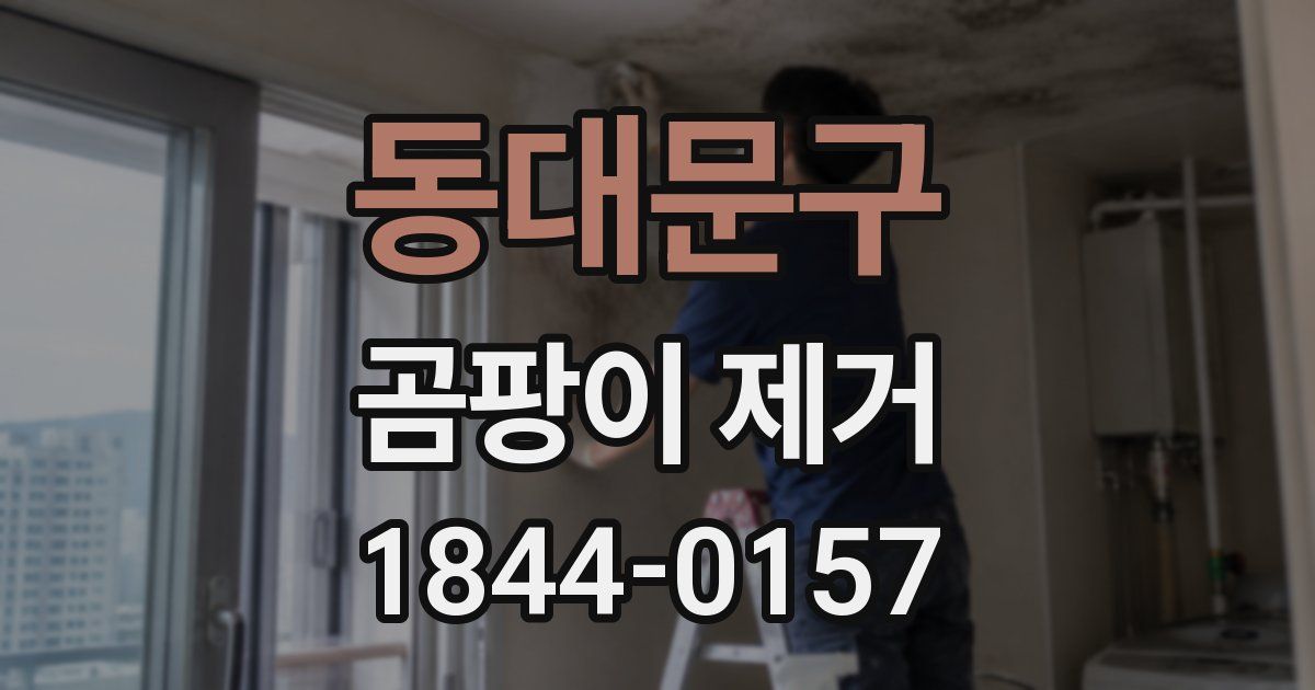 동대문구 곰팡이 제거