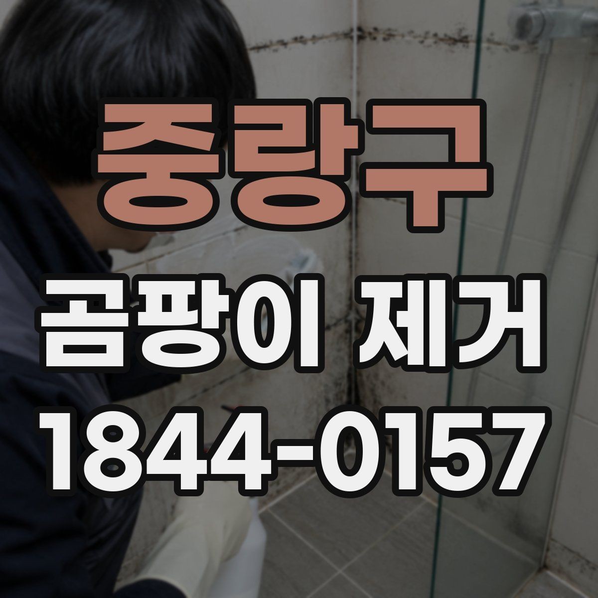 중랑구 곰팡이 제거 환기구와 배기 방향을 살피는 방법