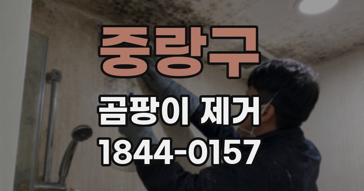 중랑구 곰팡이 제거