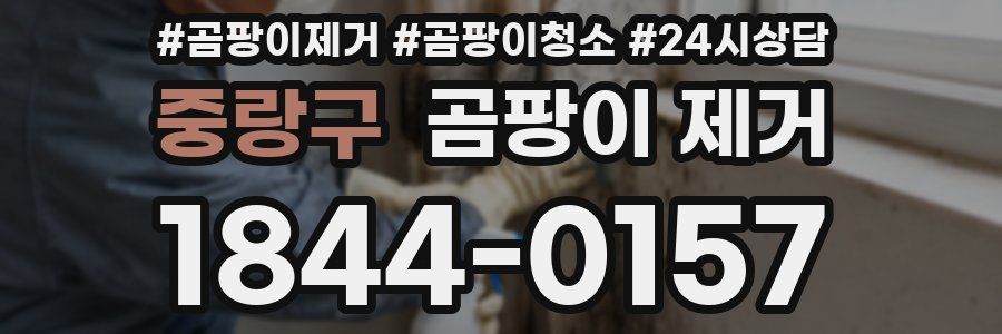 중랑구 곰팡이 제거