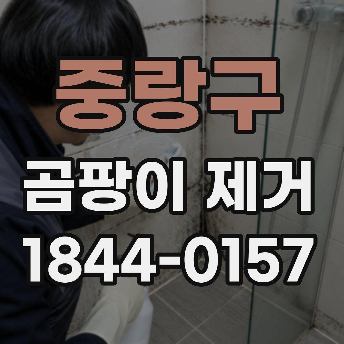 중랑구 곰팡이 제거