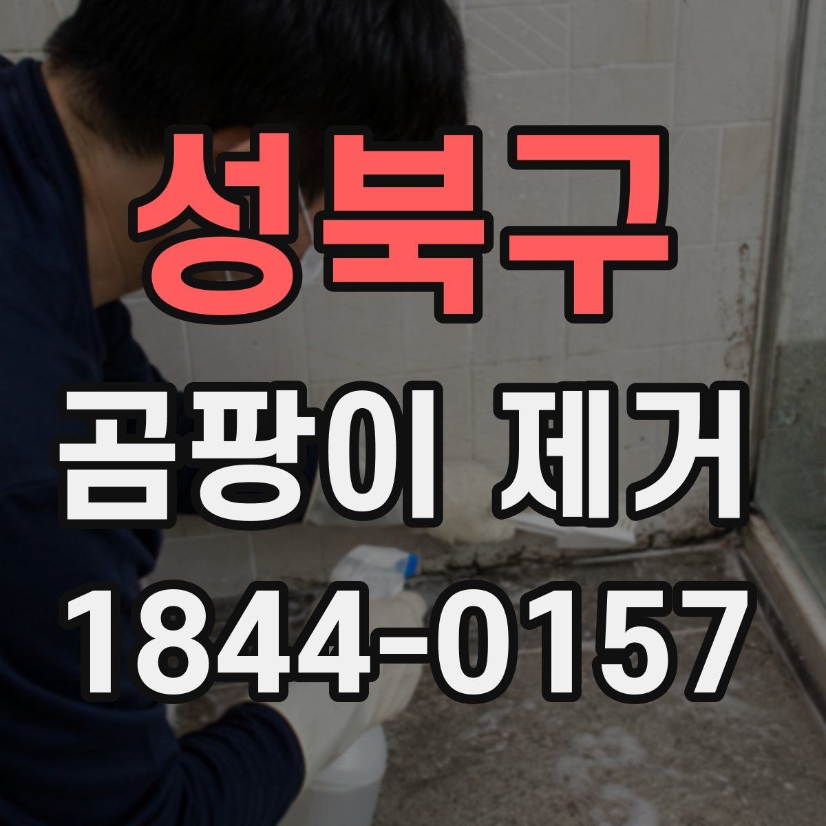성북구 곰팡이 제거 결로와 누수를 구분하는 실전 기준