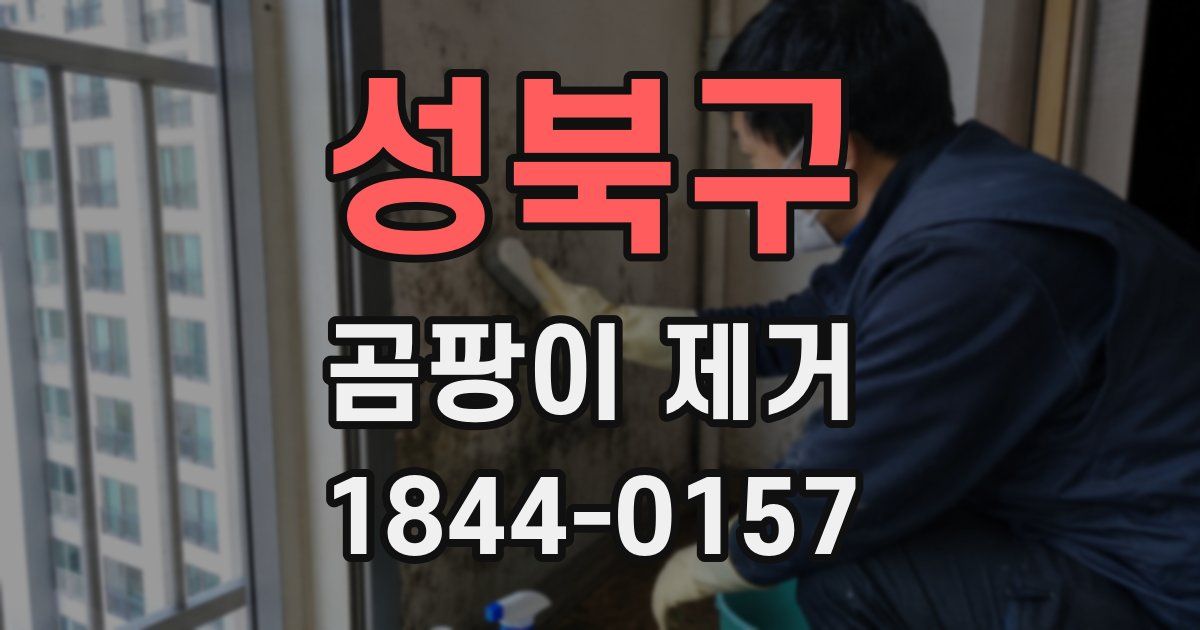 성북구 곰팡이 제거