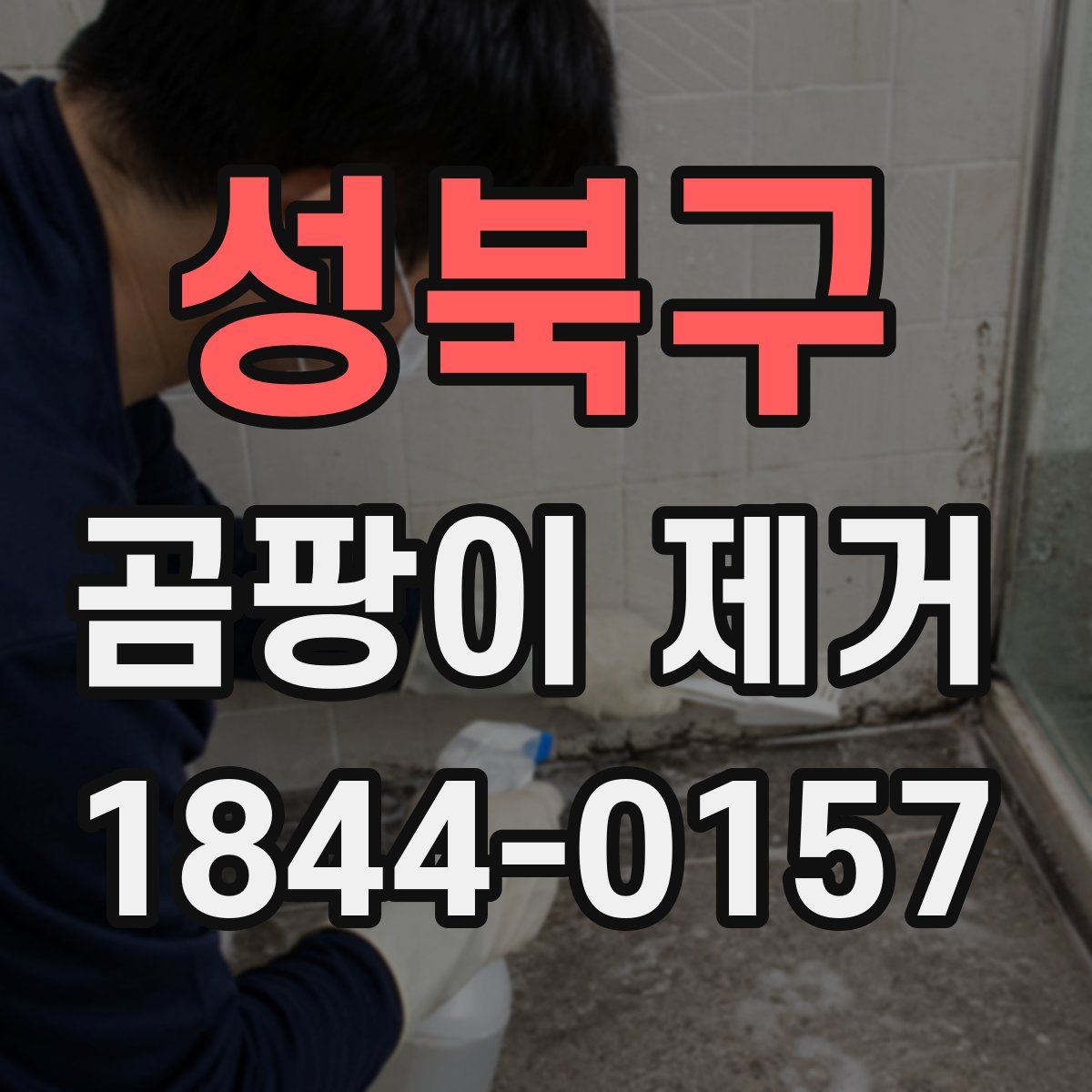 성북구 곰팡이 제거