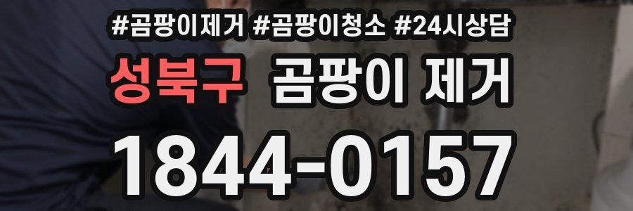 성북구 곰팡이 제거