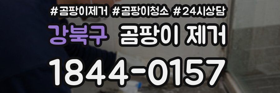 강북구 곰팡이 제거