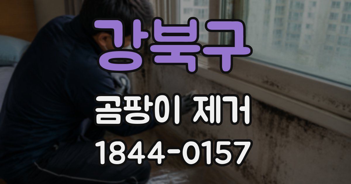 강북구 곰팡이 제거