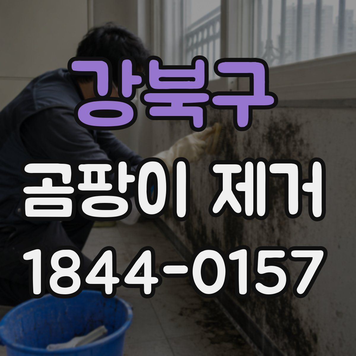강북구 곰팡이 제거