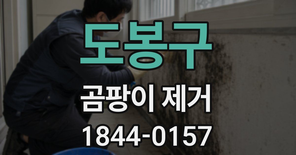 도봉구 곰팡이 제거