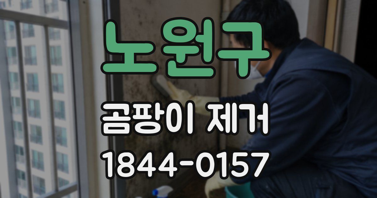 노원구 곰팡이 제거