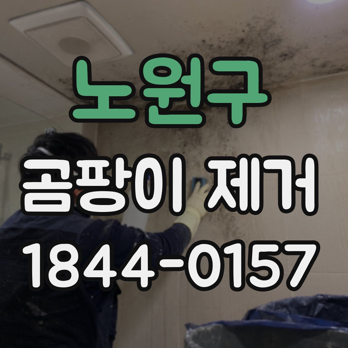노원구 곰팡이 제거