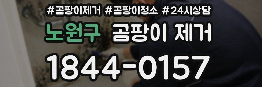 노원구 곰팡이 제거