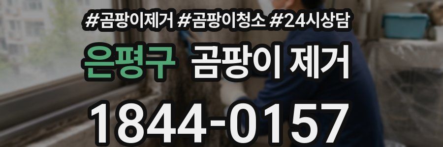 은평구 곰팡이 제거