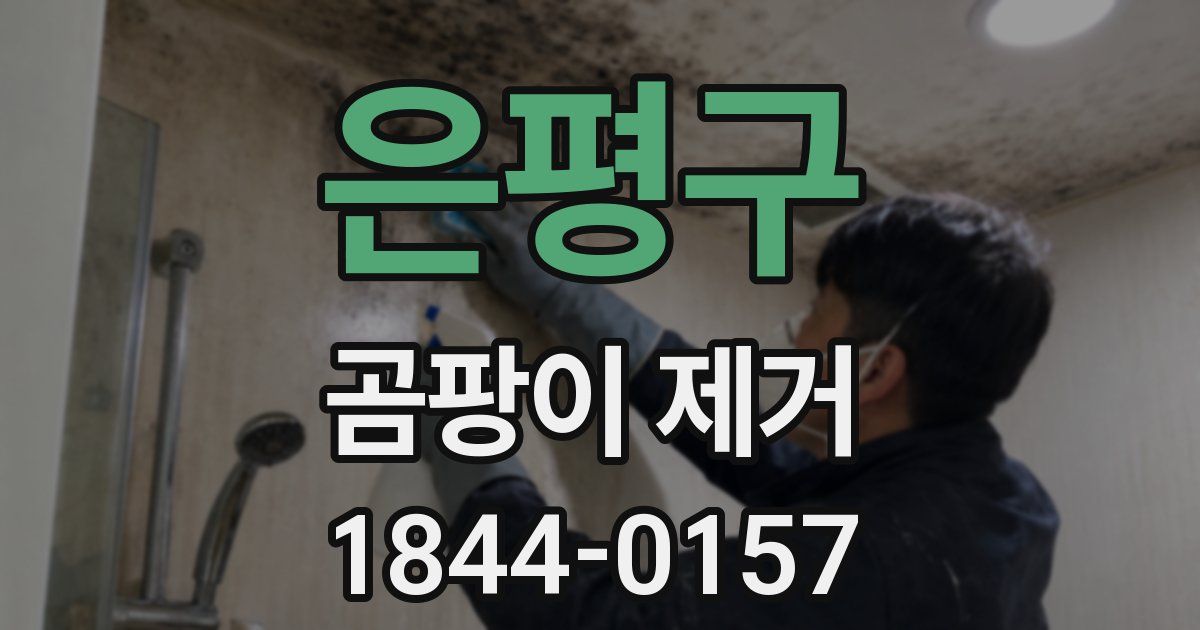 은평구 곰팡이 제거