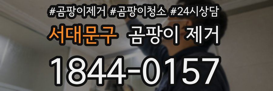 서대문구 곰팡이 제거
