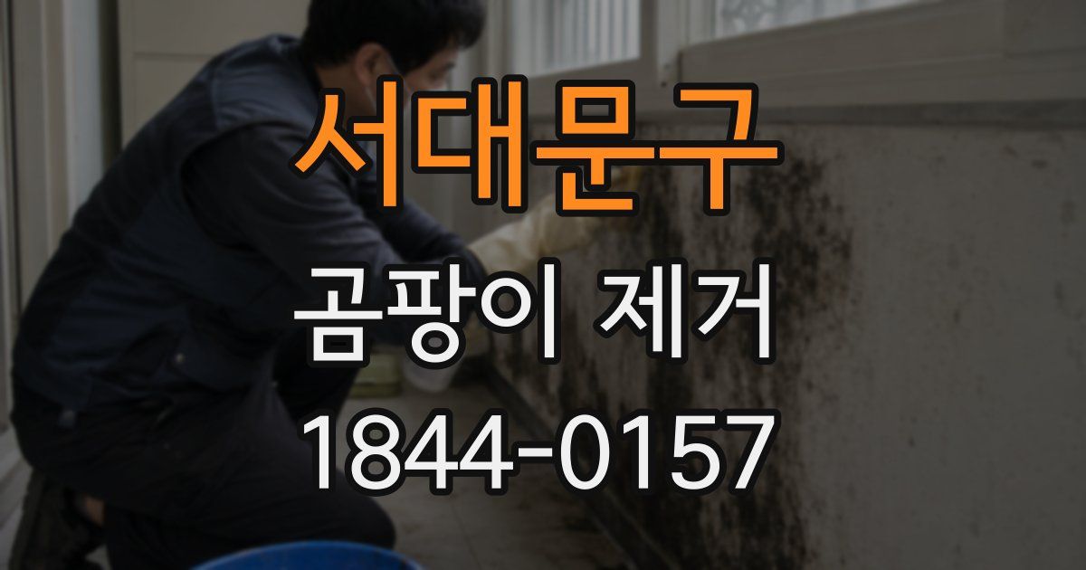 서대문구 곰팡이 제거