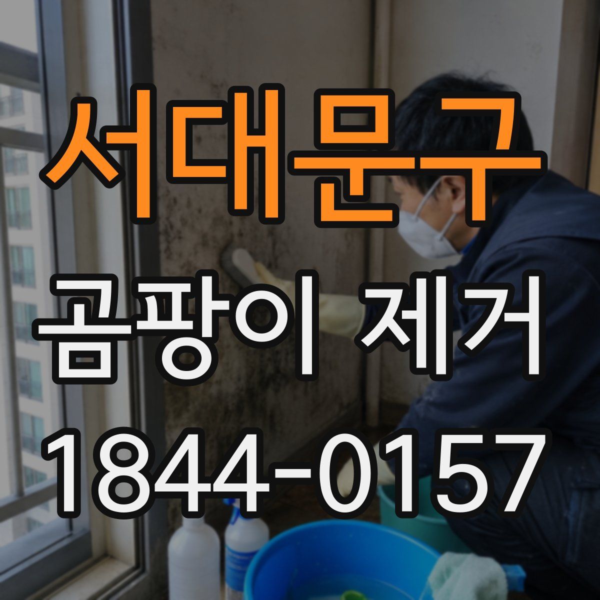 서대문구 곰팡이 제거