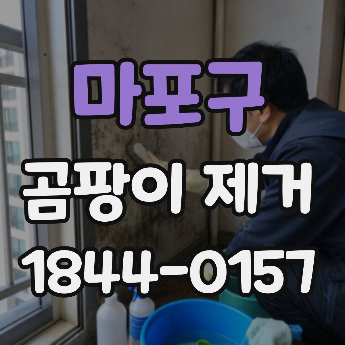 마포구 곰팡이 제거