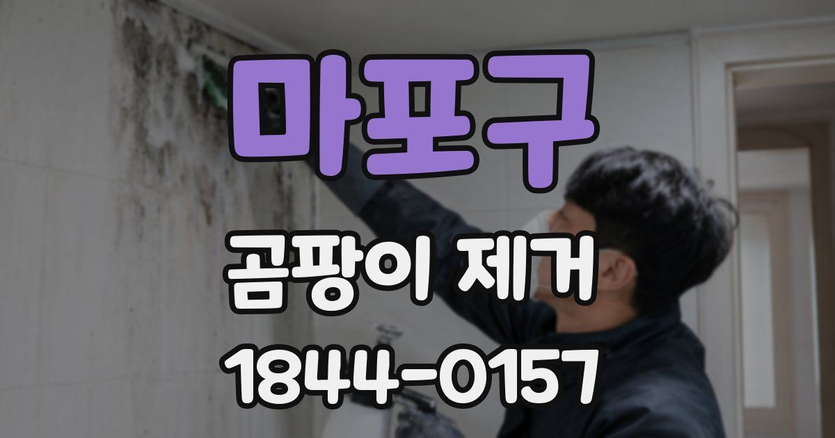 마포구 곰팡이 제거