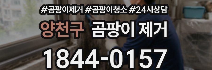 양천구 곰팡이 제거