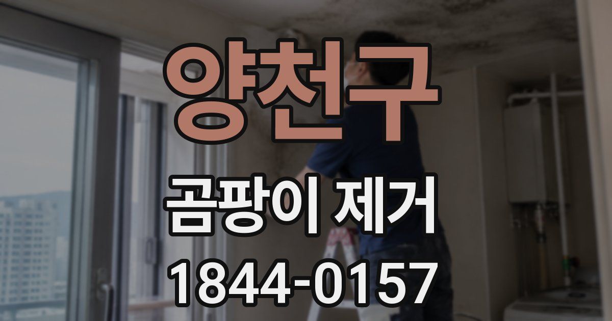 양천구 곰팡이 제거