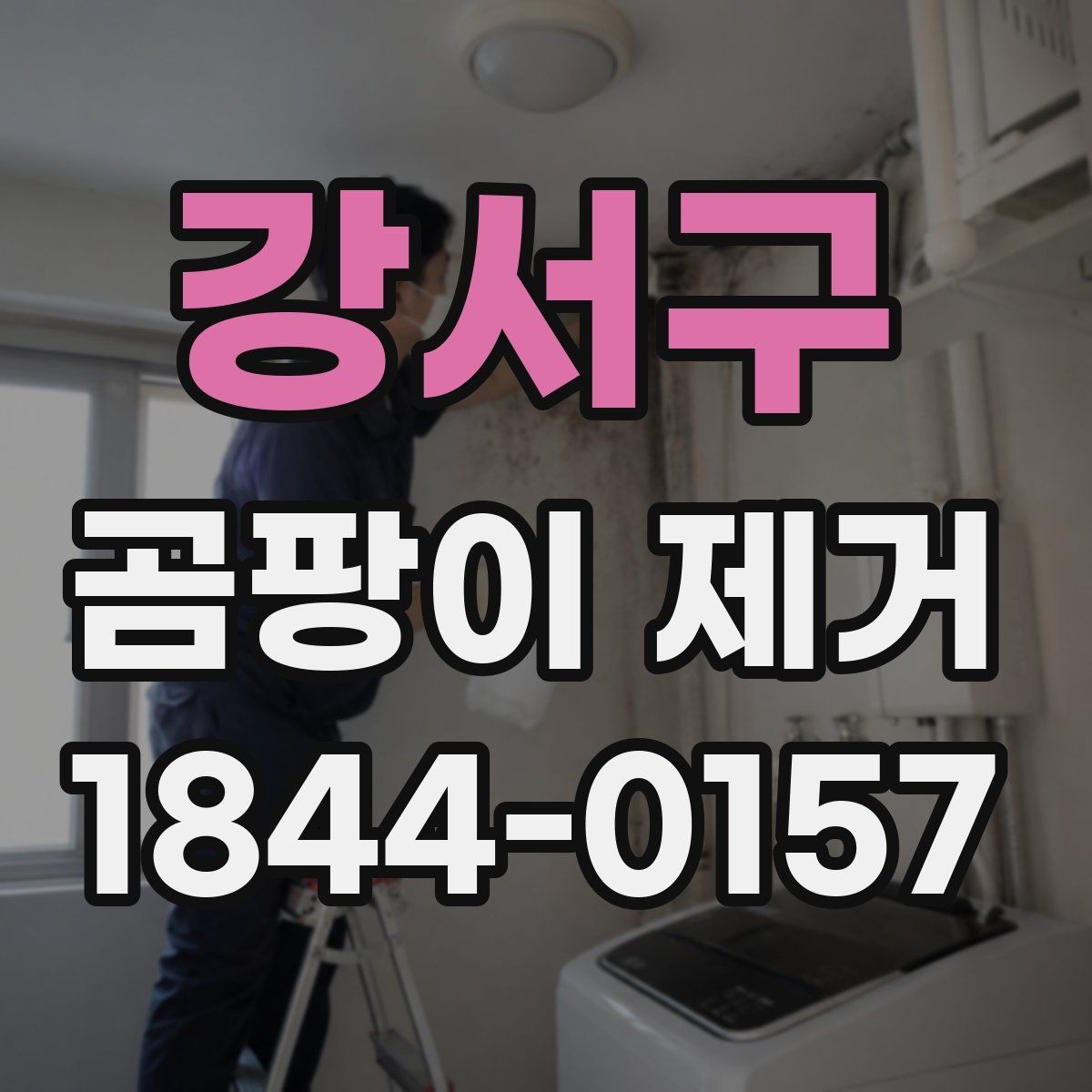 강서구 곰팡이 제거 욕실 환기 후 세척까지 이어지는 과정