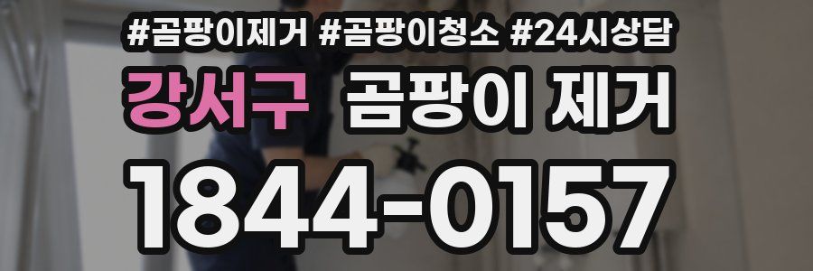 강서구 곰팡이 제거